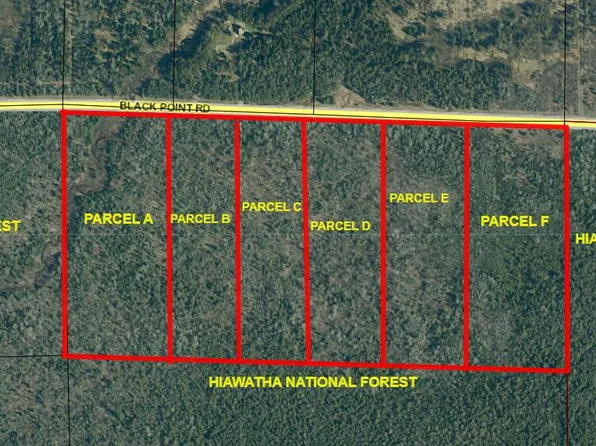 PARCEL Black Point Rd #F, Moran, MI 49760
