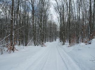 11860 E 22 3/4 Rd, Manton, MI 49663