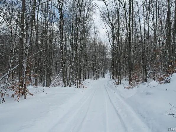 11860 E 22 3/4 Rd, Manton, MI 49663