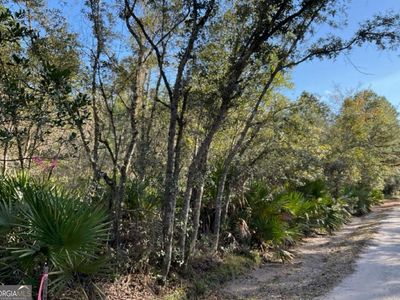 0 Deerwood Creek Est, Waverly, GA, 31565