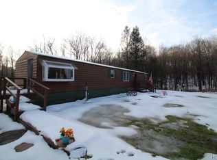 560 Tanzman Rd, Parksville, NY 12768
