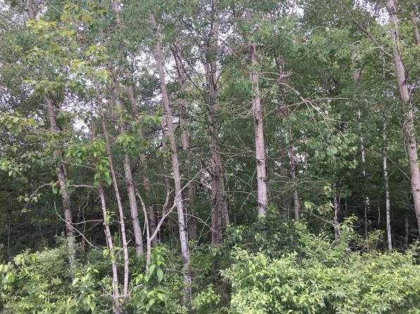 1944 Trembley Dr, Indian River, MI 49749