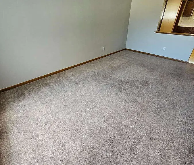 28555 Little Mack Ave — Photo 3