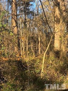 Old Pleasant Dr LOT 19, Hillsborough, NC, 27278