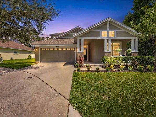 5154 Pheasant Woods Dr, Lutz, FL 33558