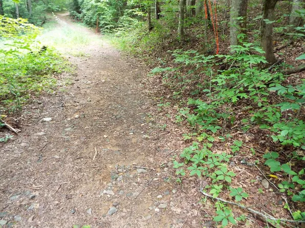 0 Levi Mathis Rd, Whittier, NC 28789