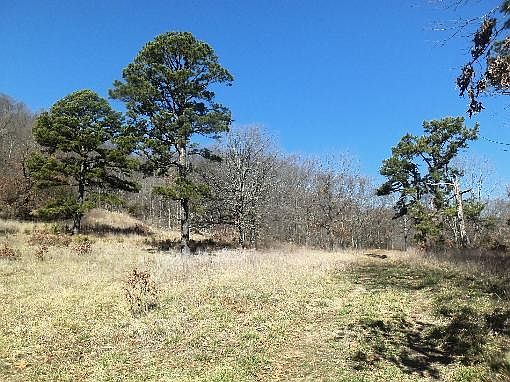 5th image of 18850 Highway 103 S