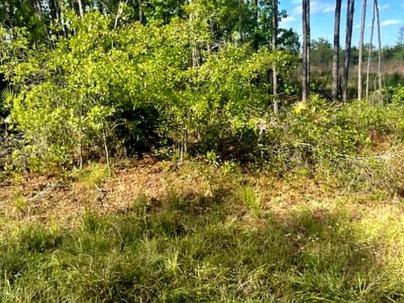 4th image of 1108306 Oil Well Road