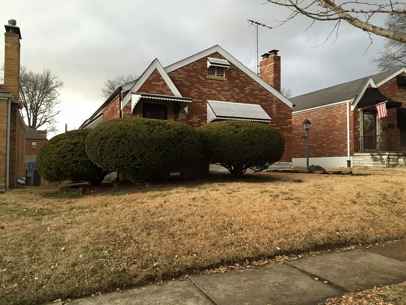 5467 Pernod Ave photo 1