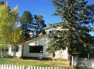 512 E Gunnison Ave, Woodland Park, CO 80863