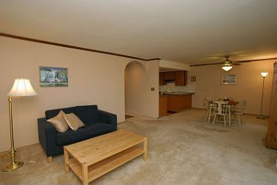 Large Living & Dining Rooms