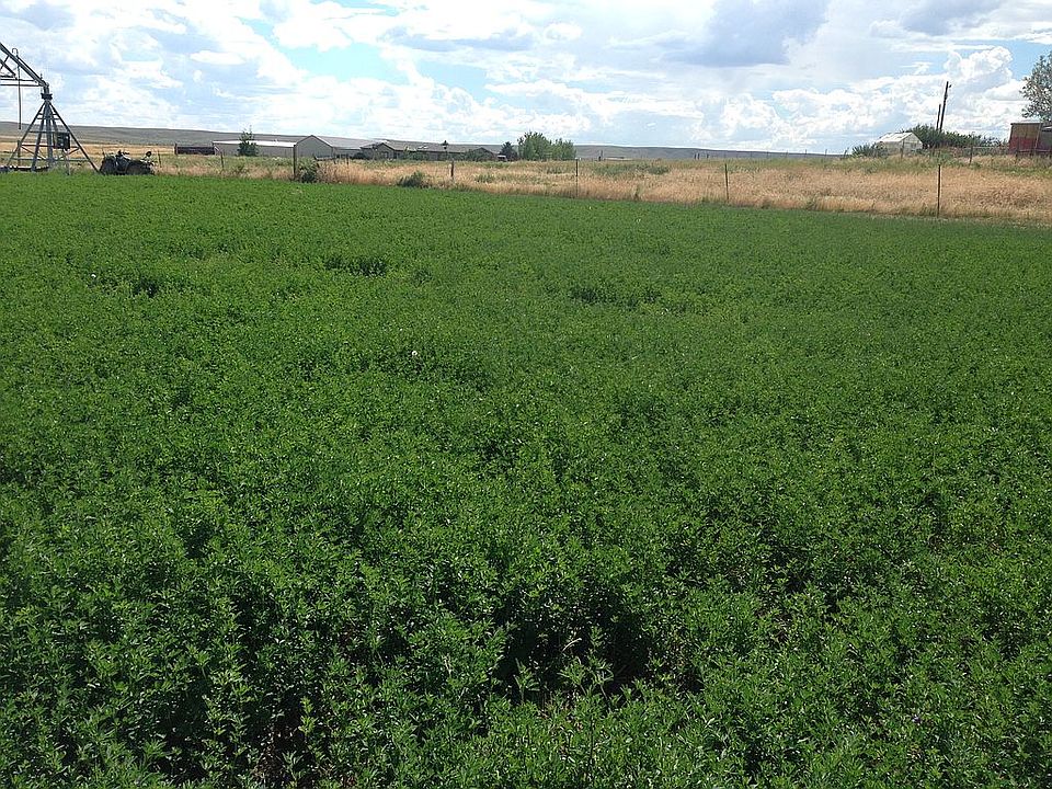 2nd image of 2955 Cattle Trail Dr