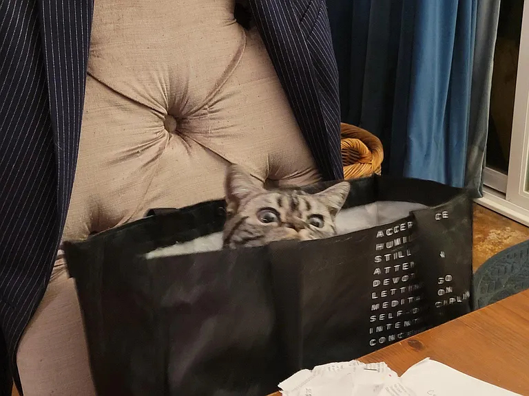 Not included