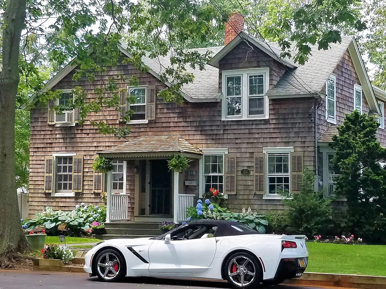 215 Richmond Ave photo 1