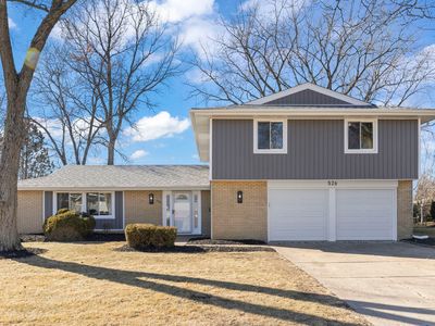 526 S Springinsguth Rd, Schaumburg, IL, 60193