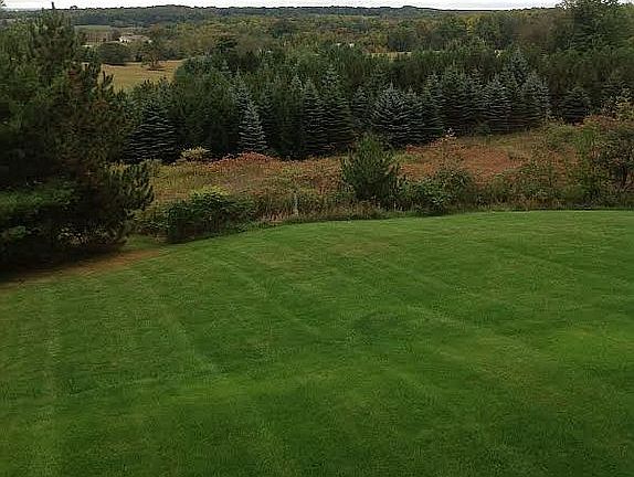 Rear Yard