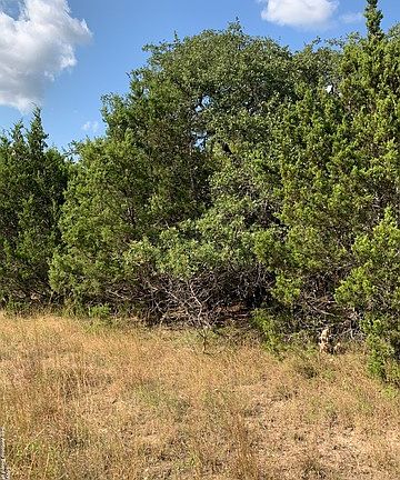 4th image of 1471 Hillside Oaks