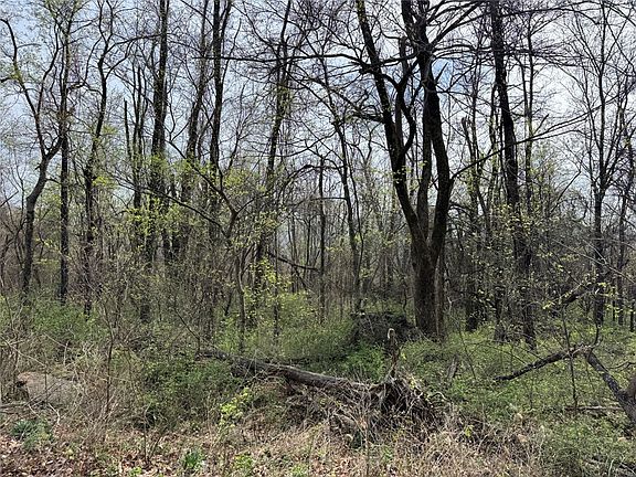 5th image of Nc #5083