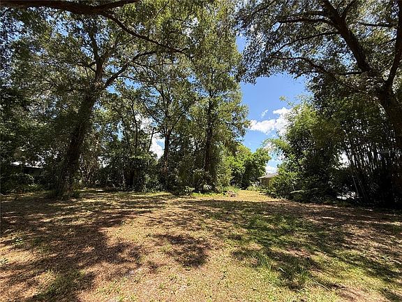 2nd image of MATCHETT LOT 149