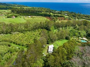 29-210 Kulaiwi Rd LOT 10, Hakalau, HI 96710