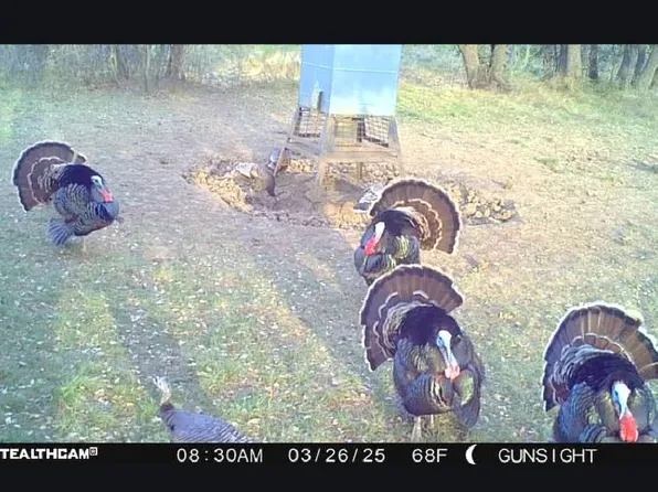 County Road 154, Breckenridge, TX 76424