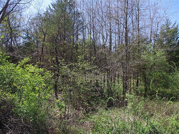 2nd image of 0 Bohemian Church Rd