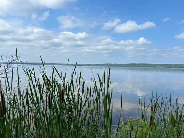 Nhn Emils Landing Rd, Hillman, MI 49746