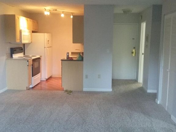 Open Living Room and Kitch