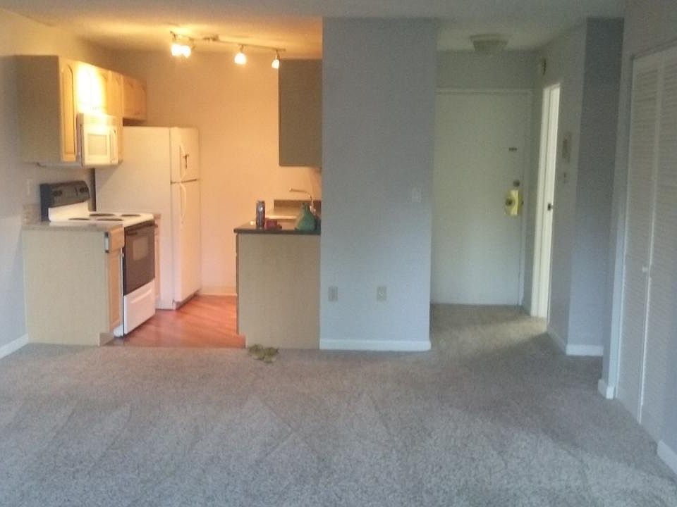 Open Living Room and Kitch