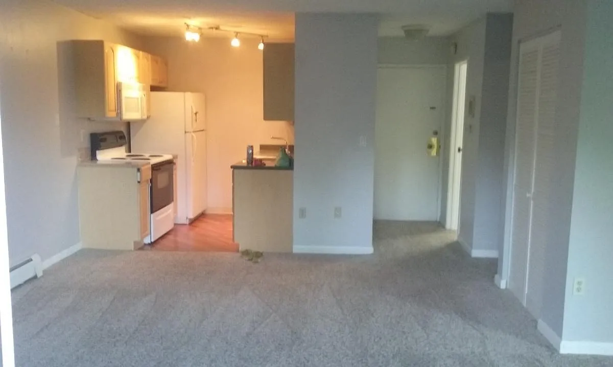 Open Living Room and Kitch - 3150 Iris Ave #208