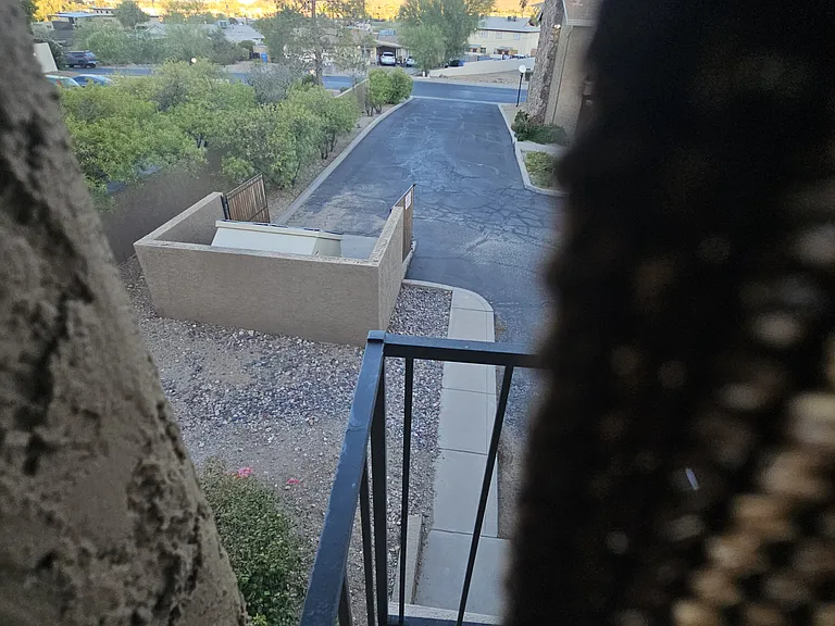1545 E Sahuaro Dr #11 — Photo 7