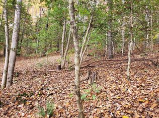 0 Coffee Tree Ln, Franklin, NC 28734