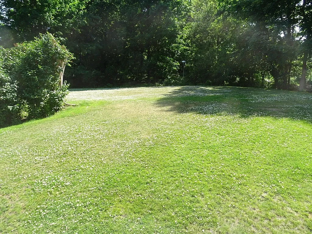 3 bed, 2.0 bath, 1550 sqft, $3,950 — Photo 3