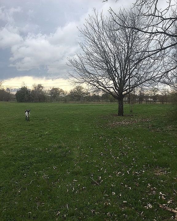 927 Fox Lane, Azle, TX 76020 Zillow