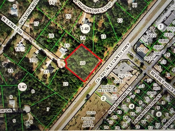 4401 N Lena Dr, Beverly Hills, FL 34465