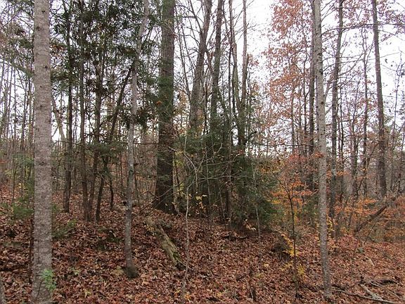 2nd image of LOT 45 Peach Tree St Lot 45