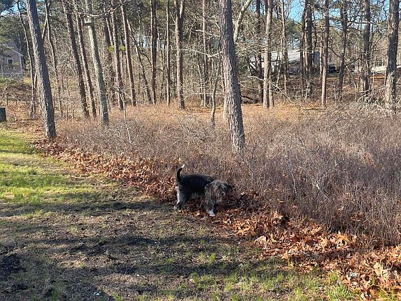 4th image of 30 Sam Hollow Road