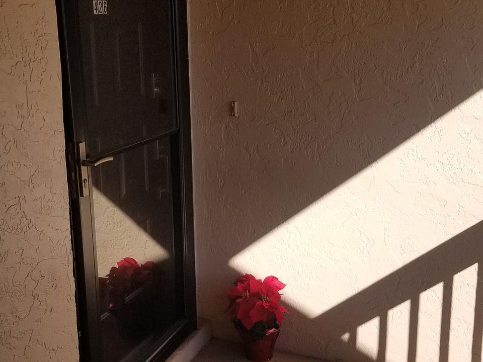 1st image of 3256 White Ibis Ct