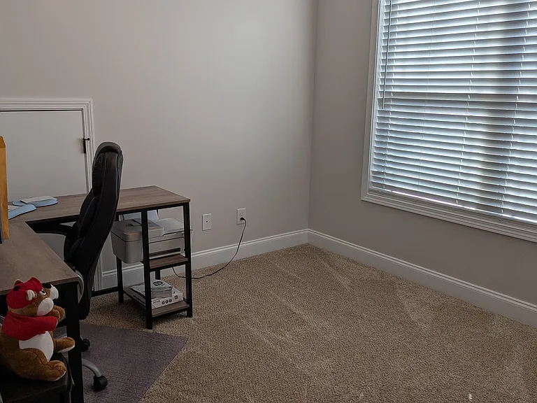 326 Willow Cove Ct — Photo 18
