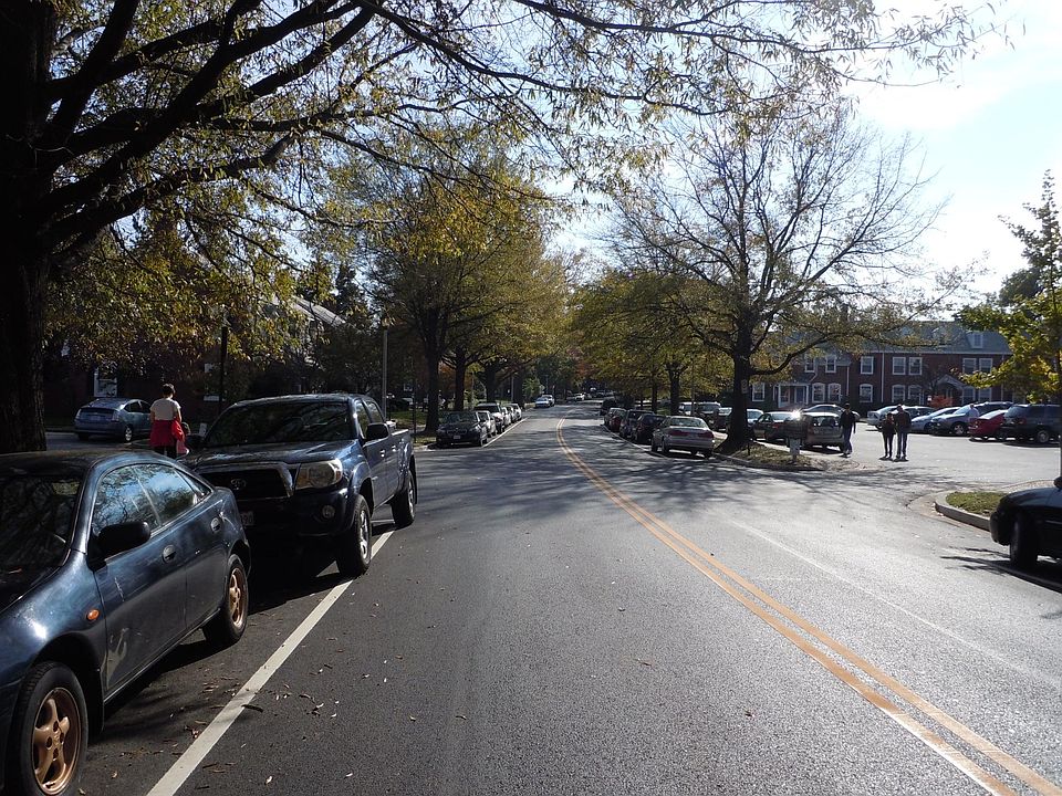 Tree lined street outside