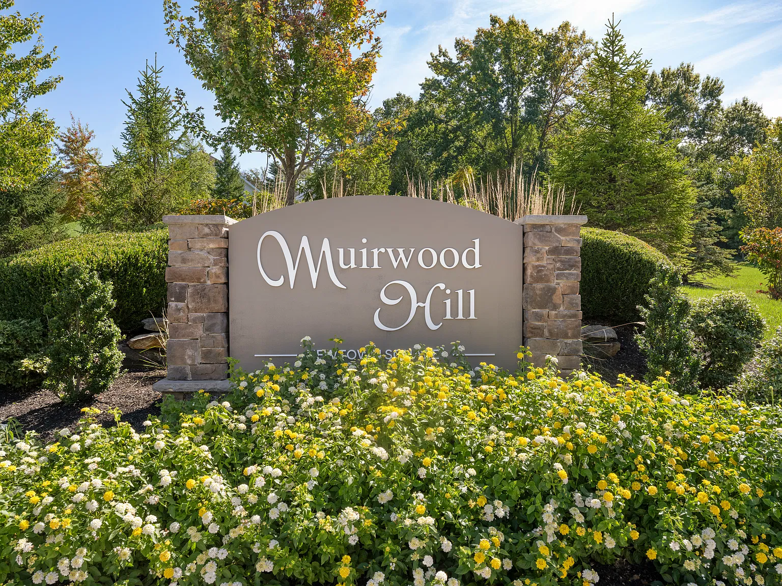 3 bed, 2.5 bath, 3399 sqft, $5,500 — Photo 2