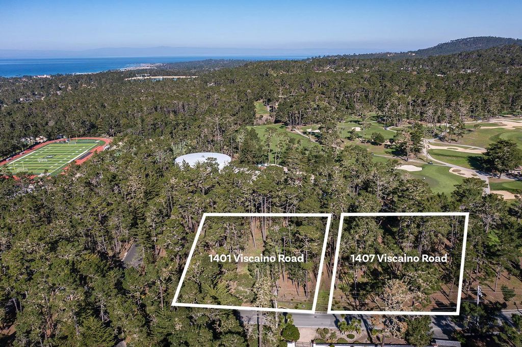1407 Viscaino Road 2