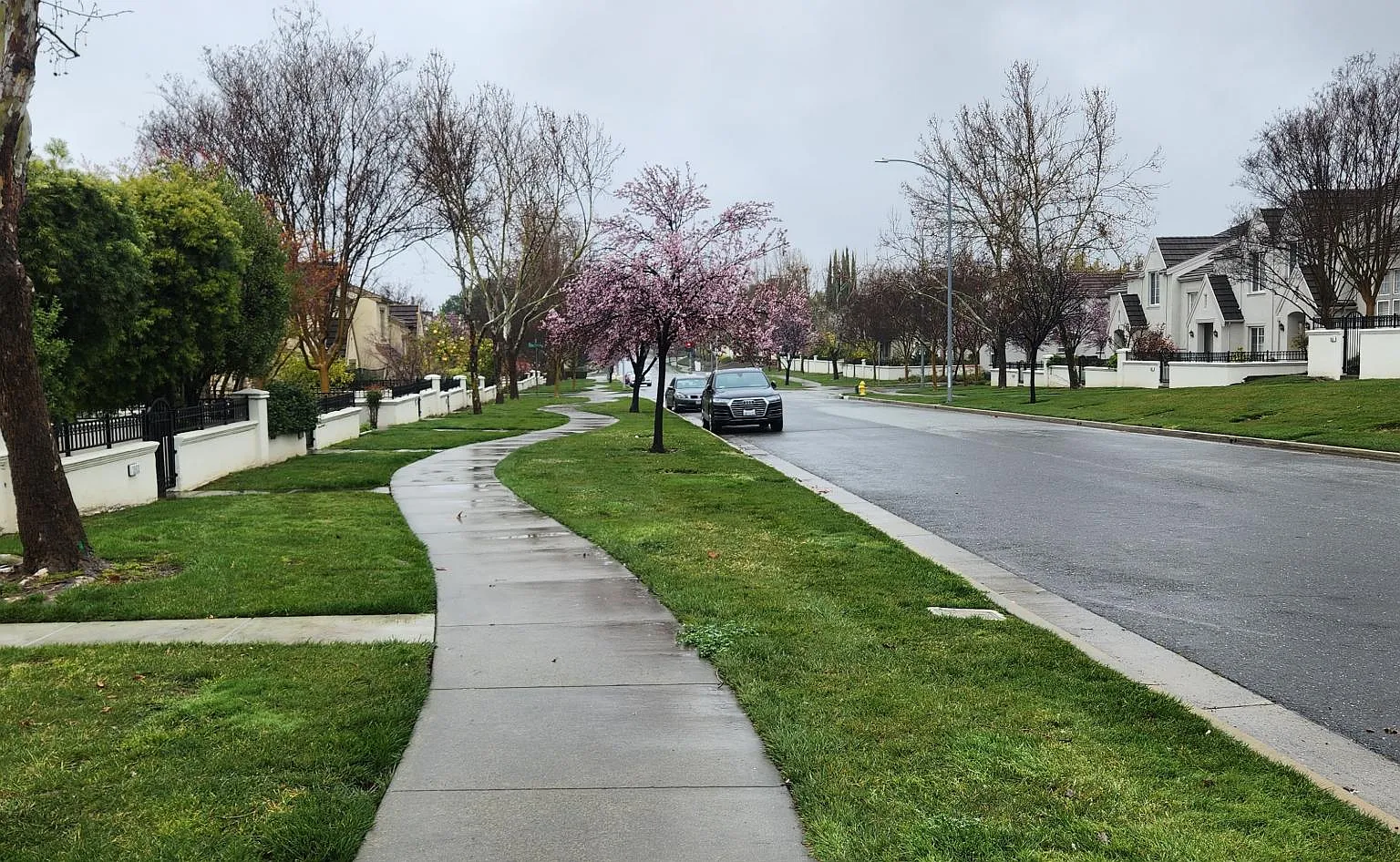 3 bed, 2.5 bath, 1456 sqft, $4,150 — Photo 3