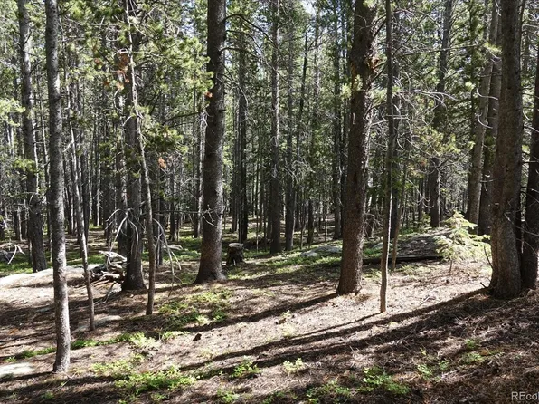 00 Upper Forest Rd, Idaho Springs, CO 80452