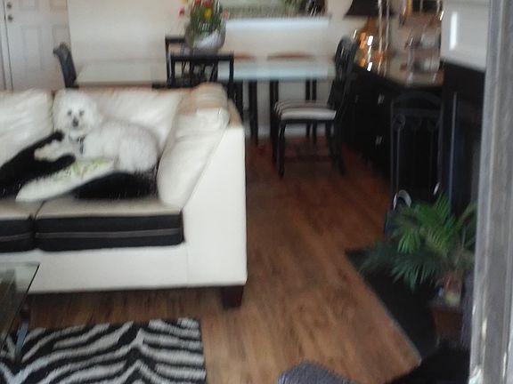 See the lake while cooking!