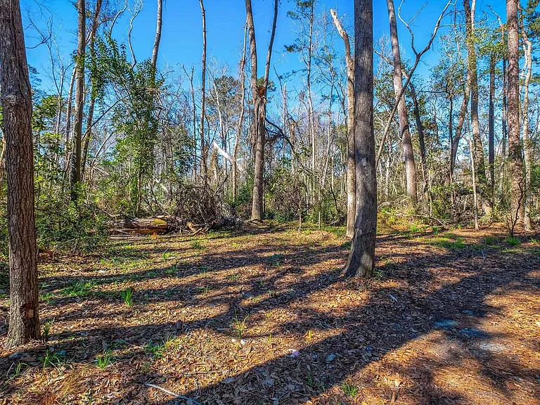 1691 Silverwood Dr — Photo 23