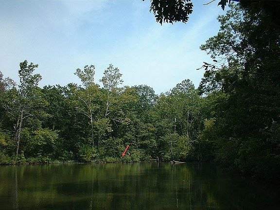4th image of 1016 Wallace Ln