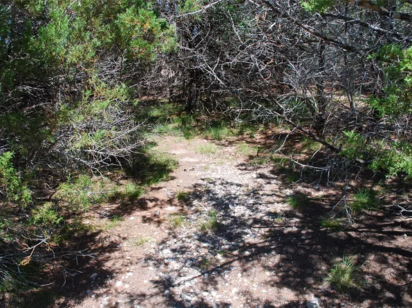 11030 Juniper Ct, Whitney, TX 76692