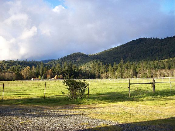 NE view to pasture