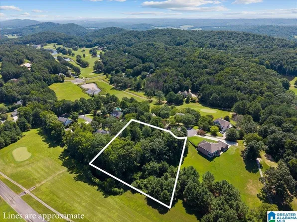 0 Quail Ridge Rd, Oneonta, AL 35121